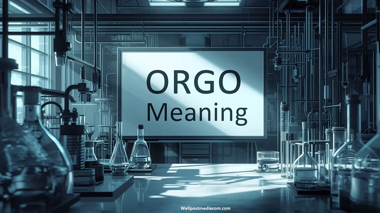 Orgo Meaning – Definition, Slang Uses, Examples & Social Media Trends in 2026 Orgo Meaning